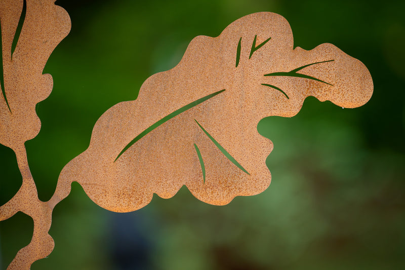 A single detail of an oak leaf in the greenery. Brief Description: This image highlights a single oak leaf amidst lush greenery. The leaf's intricate veins and natural texture stand out against the vibrant background, showcasing the beauty of nature in its detailed form.