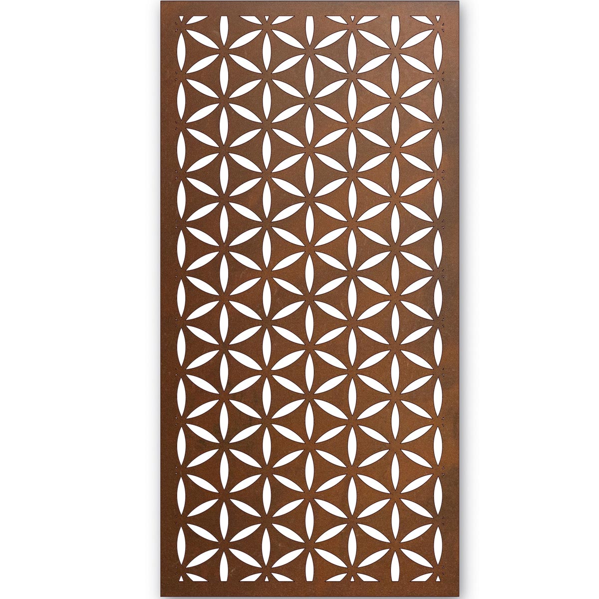 Shasta Daisy Screen