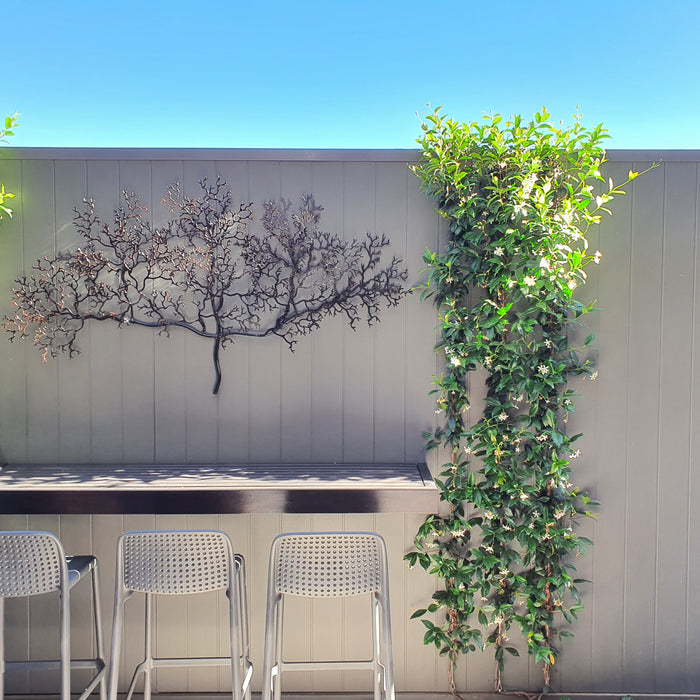 Garden Gift Ideas for the Holiday Season