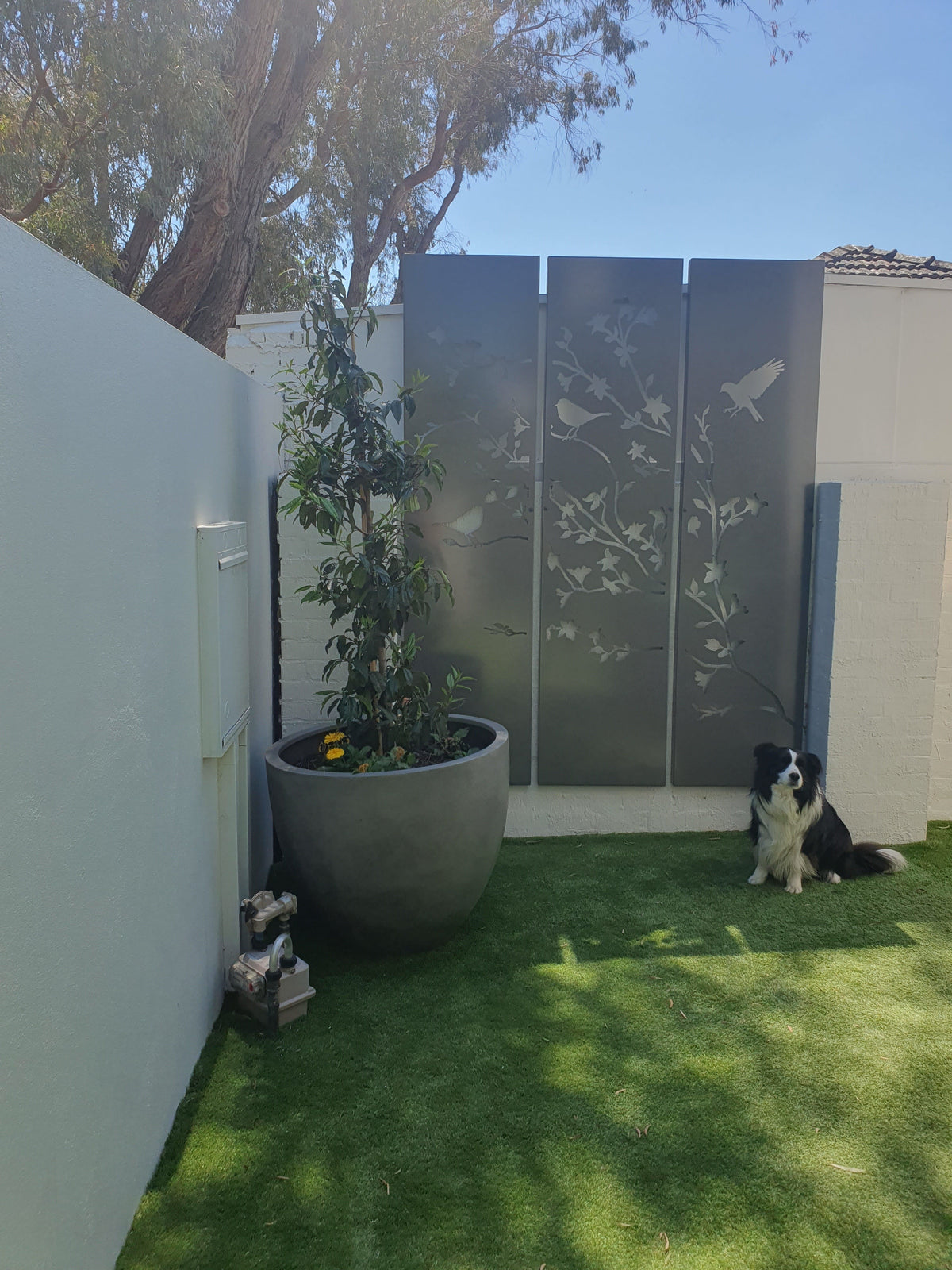 Residential Projects – Entanglements