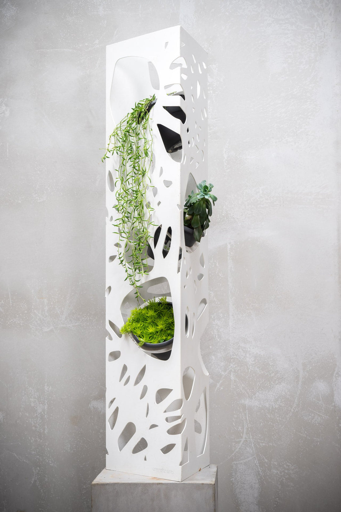 The Power of a Well-Placed Planter
