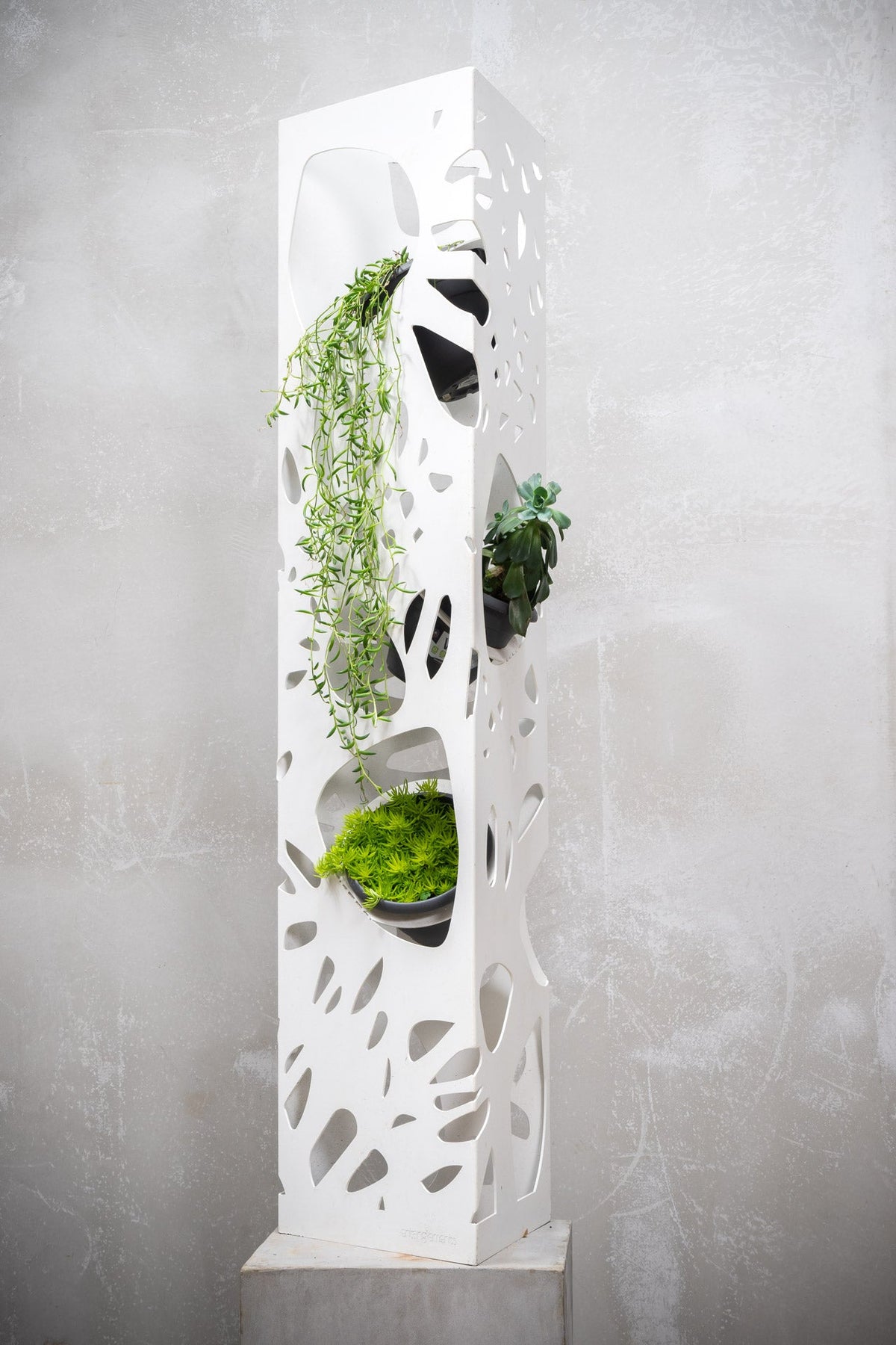 The Power of a Well-Placed Planter