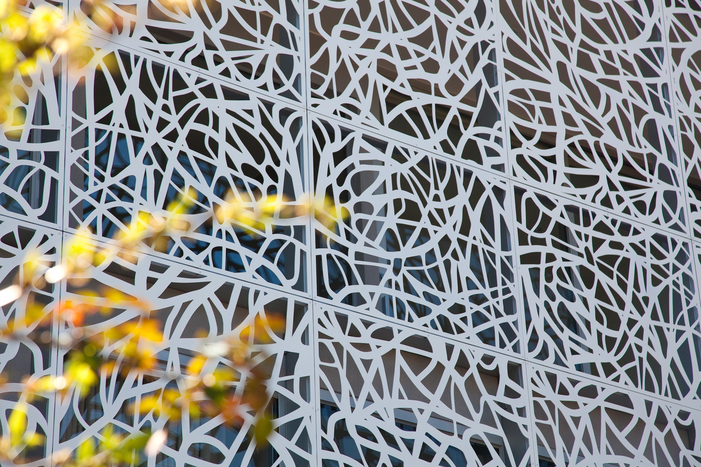 Toorak Residence