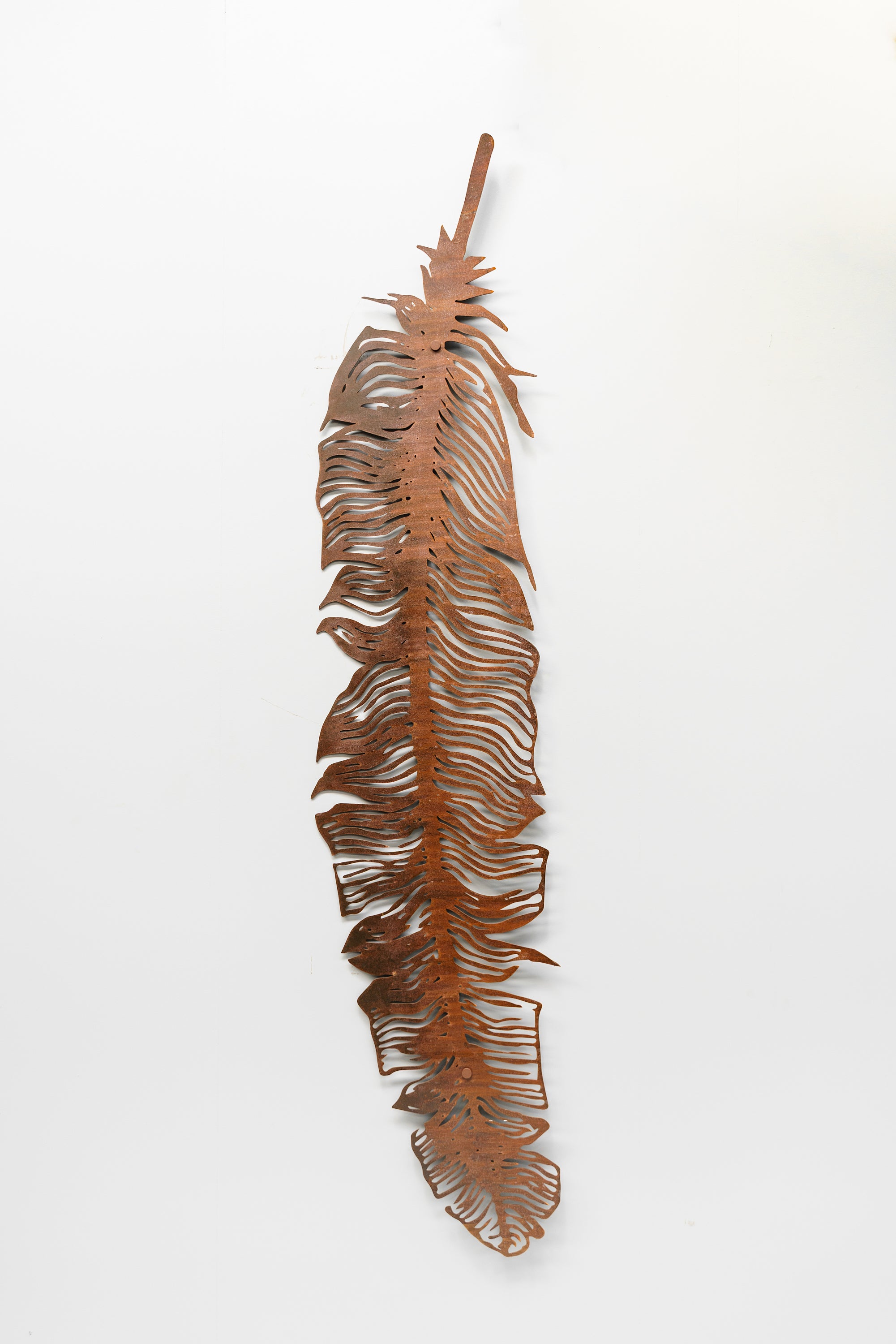 Feather Deco Metal Wall Art - Limited Edition