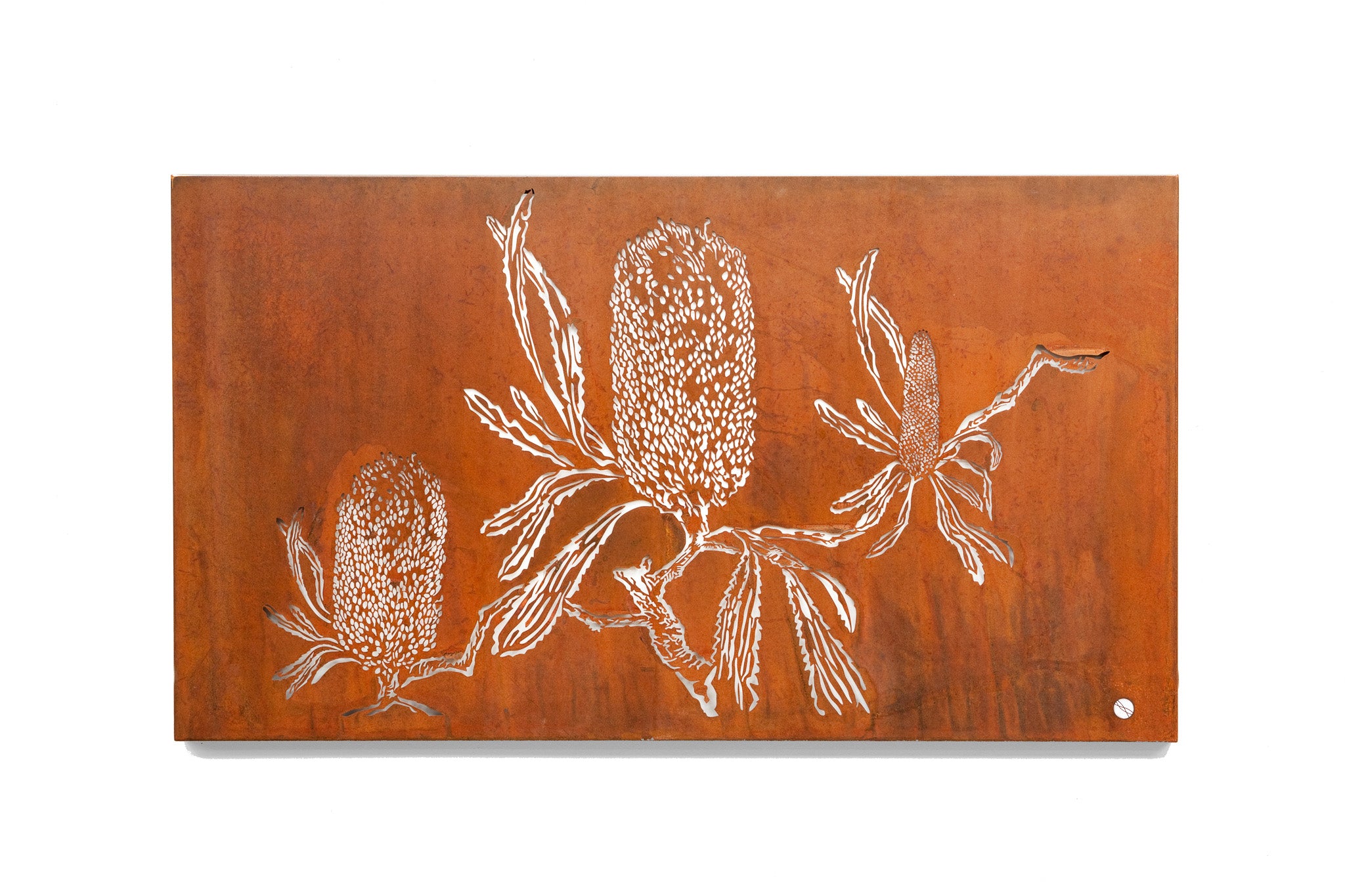 Hakea Metal Wall Art