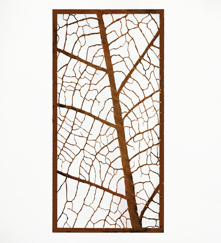 EX-DISPLAY - Leaf Vein Screen