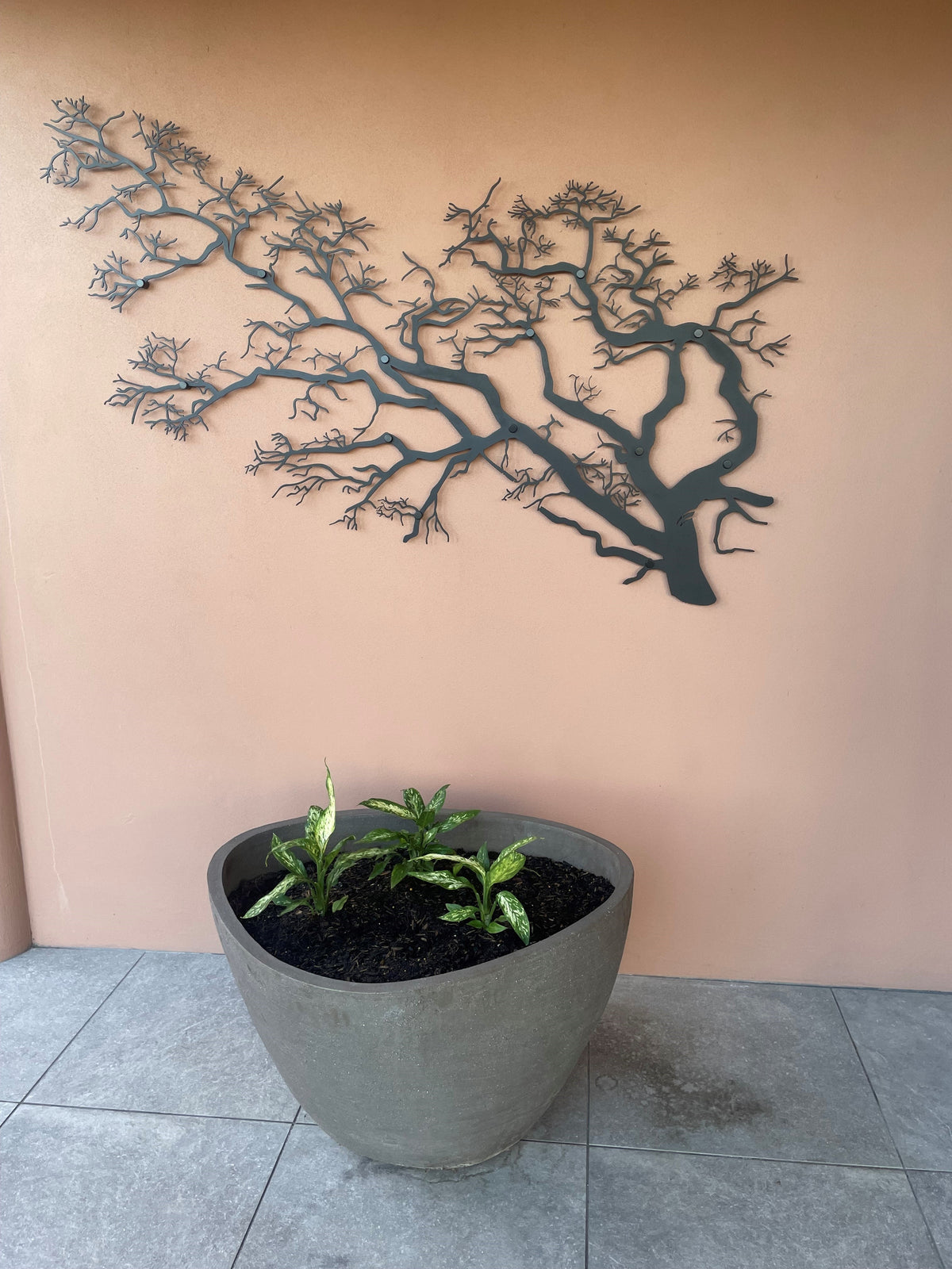 Mentone Residence – Entanglements