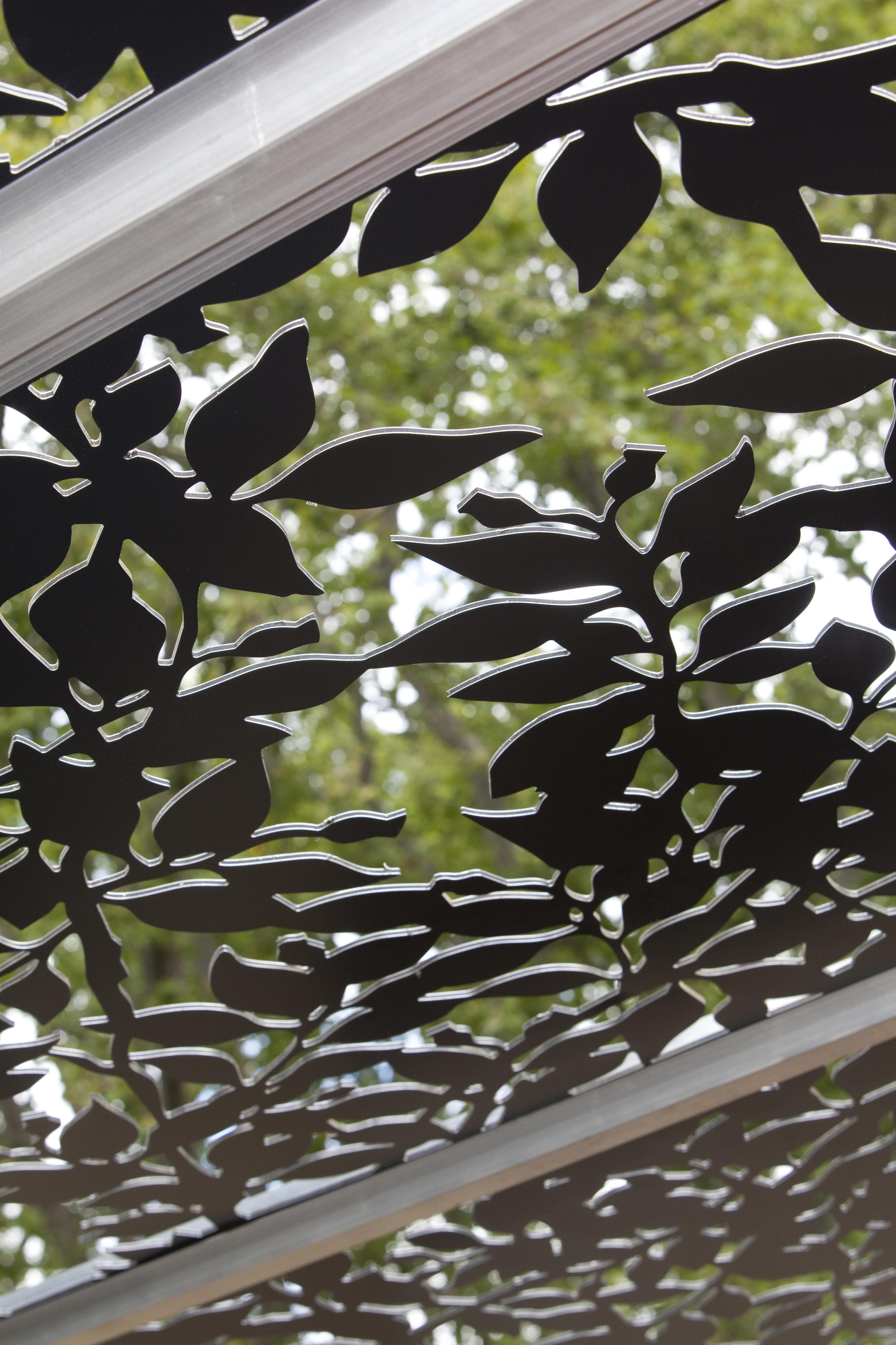 Banksia Nut - Outdoor privacy screen