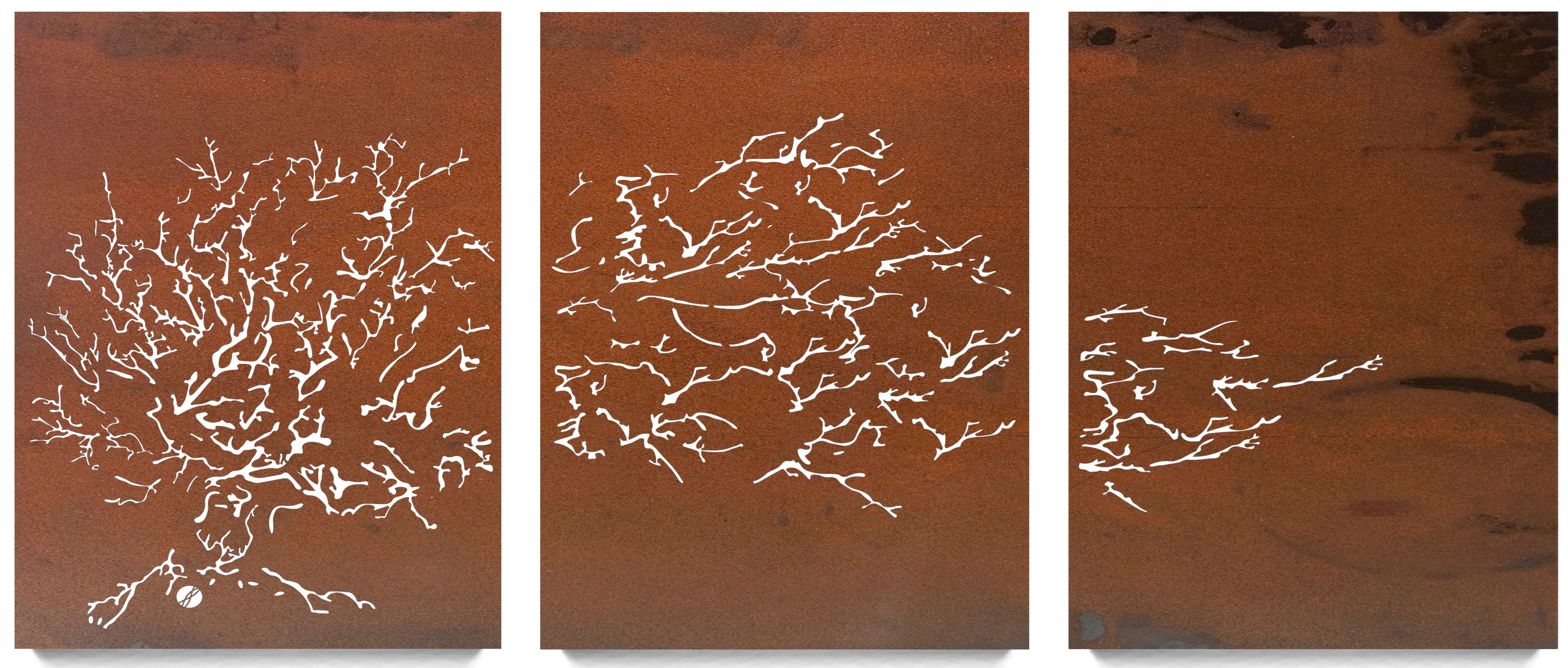 Coral Fan Triptych – Metal Wall Art