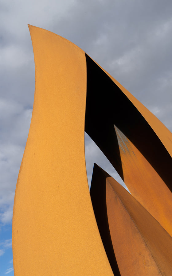 Entanglements sculptural flame metal artwork