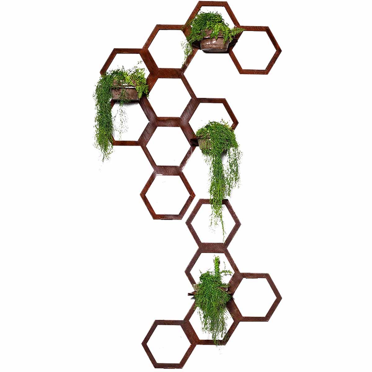 Hexagon Trellis- Wall Planter