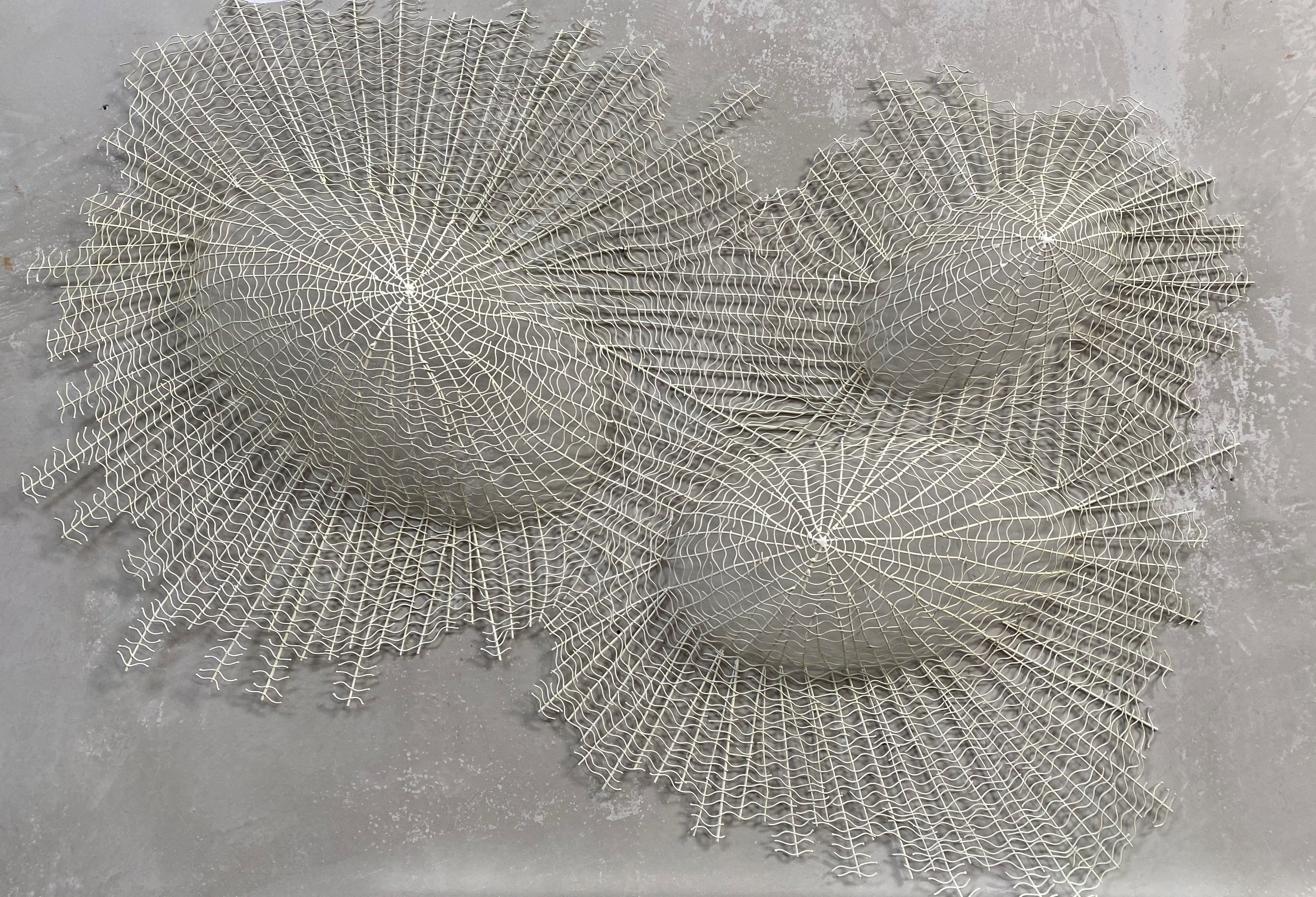 Shell Cluster Small – Metal Wall Art