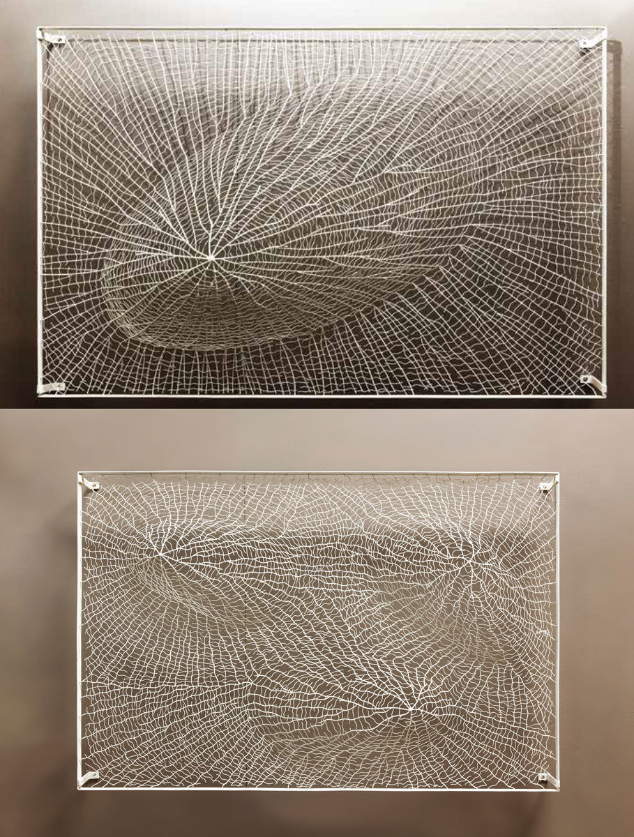 Shell Range Metal Wall Art